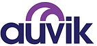 Auvik network management outline