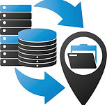 migration & project services